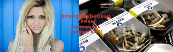 молекула духа Богородск