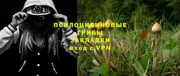 mdpv Богданович