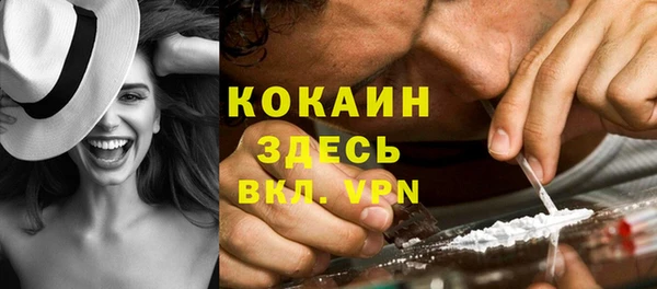 mdpv Богданович