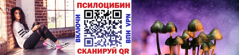 где купить наркоту  Калининград  Псилоцибиновые грибы мицелий 